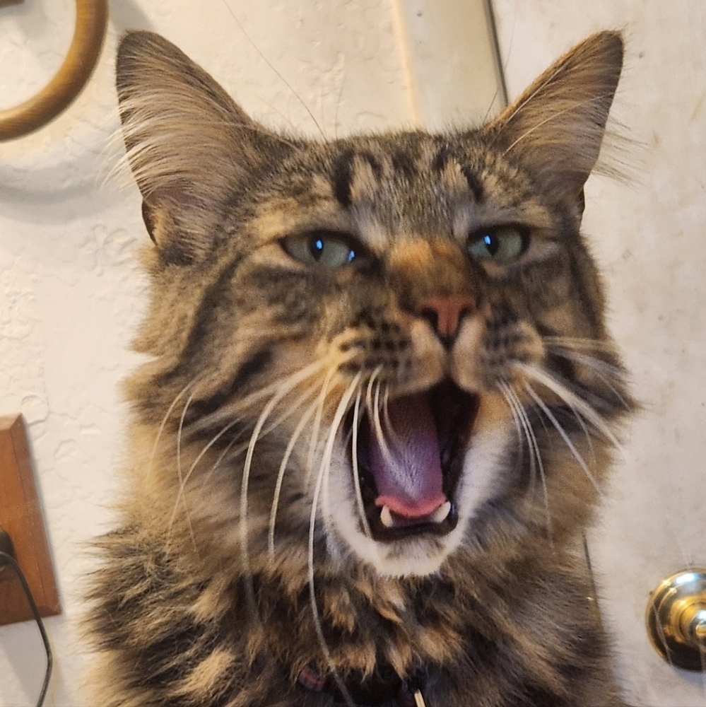 Meet your Posher, Farrah